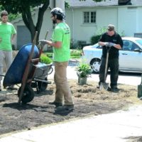 Best Shoes for Landscaping Work