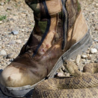 do snake proof boots really work
